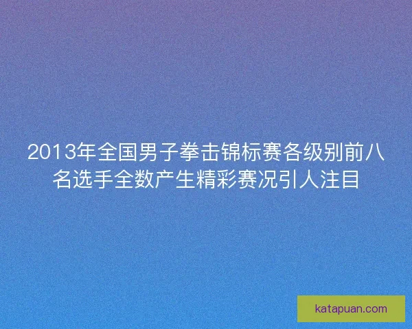 2013年全国男子拳击锦标赛各级别前八名选手全数产生精彩赛况引人注目