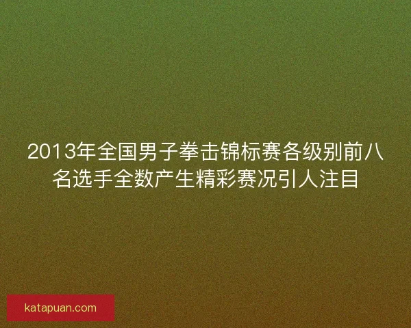 2013年全国男子拳击锦标赛各级别前八名选手全数产生精彩赛况引人注目
