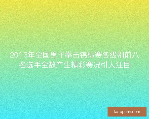 2013年全国男子拳击锦标赛各级别前八名选手全数产生精彩赛况引人注目