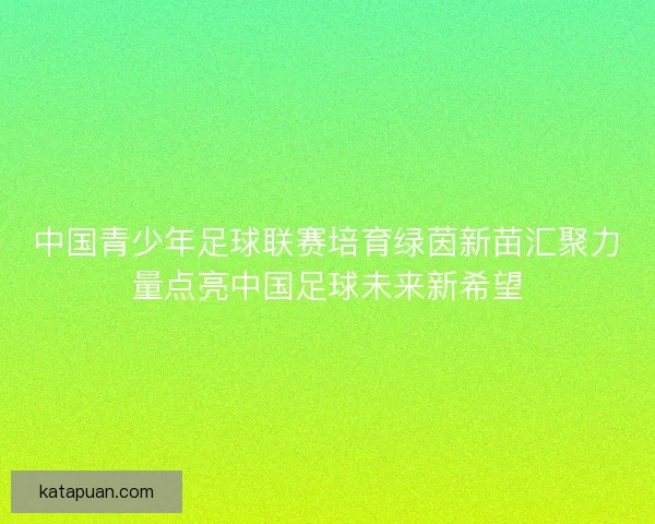 中国青少年足球联赛培育绿茵新苗汇聚力量点亮中国足球未来新希望
