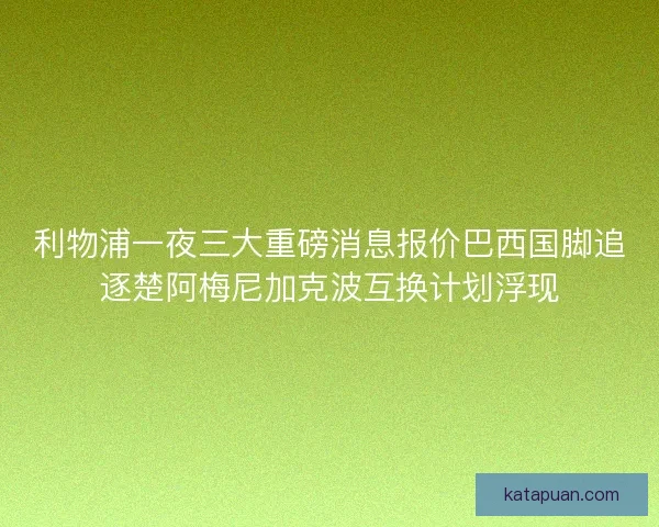 利物浦一夜三大重磅消息报价巴西国脚追逐楚阿梅尼加克波互换计划浮现